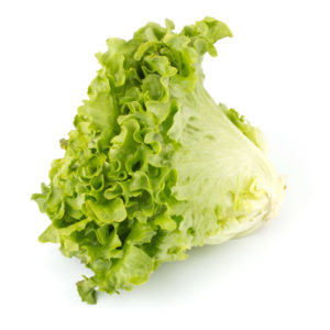lettuce