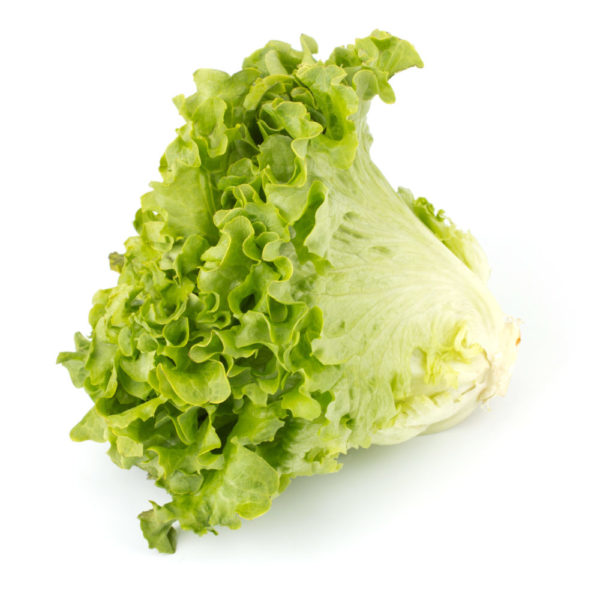 lettuce